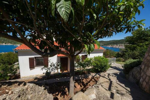 Luceissa (beautiful Seaview Apartment)