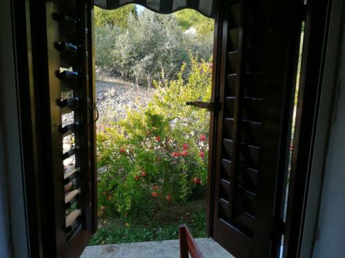 Vacation House Jela, Island Vis