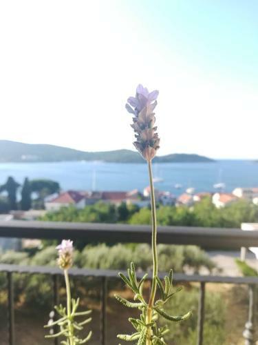 Apartment Sandra (2+2) With A Breathtaking View
