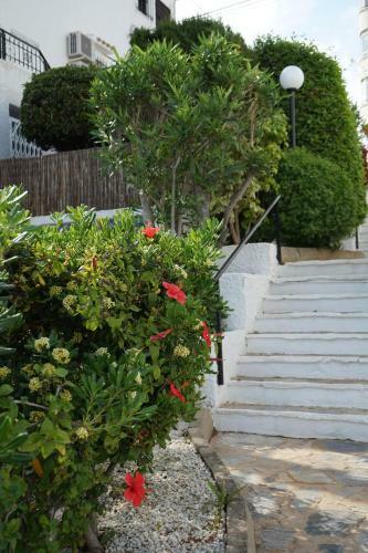 Apartamento Cosy Place In Cabo Roig
