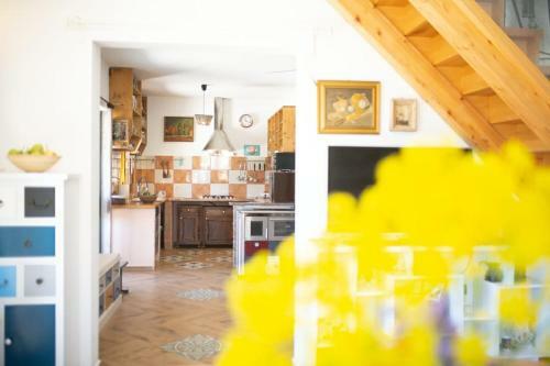 Olive Hill Family House
