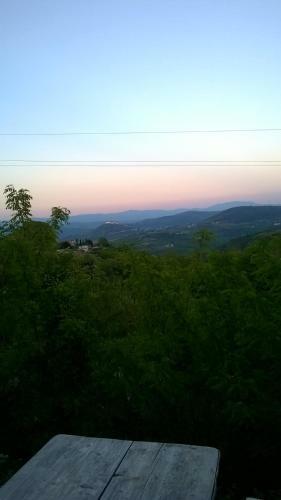 Villa Holiday Home Vizinada