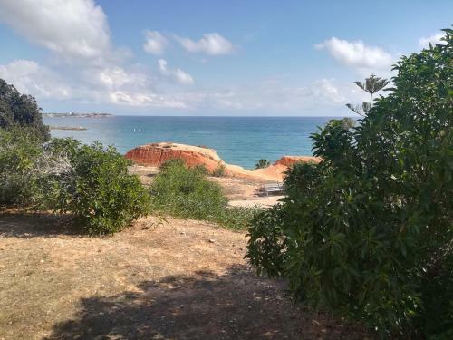 Apartamentos Cabo Roig Bellavista III