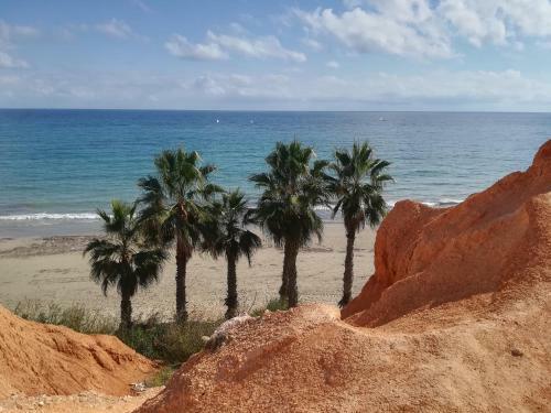 Apartamentos Cabo Roig Bellavista III