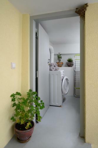 Apartamento Niki Mountain House