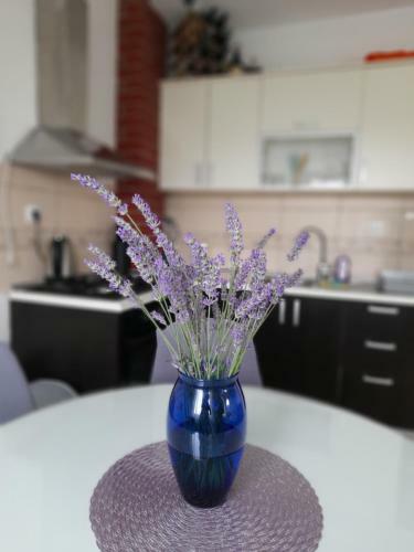 Mika Apartmani