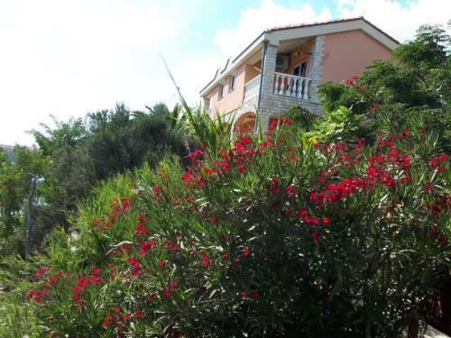 Apartments Horvat On Island Pag