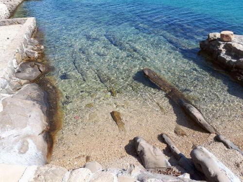 Apartments Horvat On Island Pag