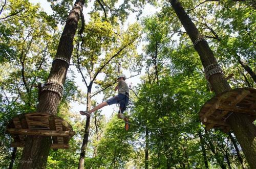 Ak�c Tanya