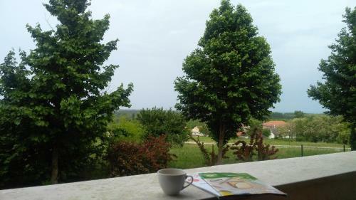 Modor Apartman