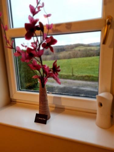 Farm Stay 3 Bedroom Barn Conversion With Log Burner