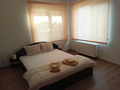 Hostal Guest House Ganovi