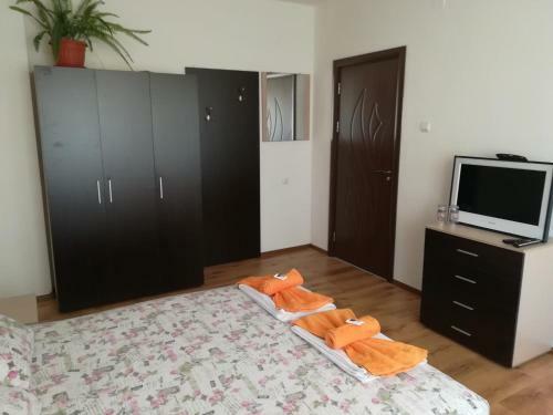 Hostal Guest House Ganovi