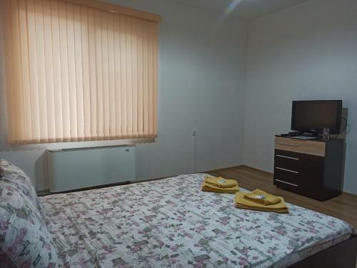 Hostal Guest House Ganovi