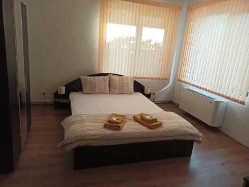 Hostal Guest House Ganovi