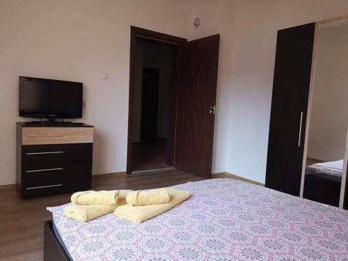 Hostal Guest House Ganovi