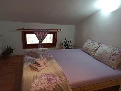 Hostal Guest House Ganovi