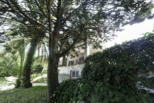 Magnifico Chalet Con Piscina