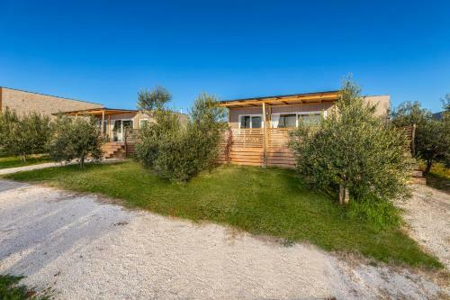 Papafigo Camping