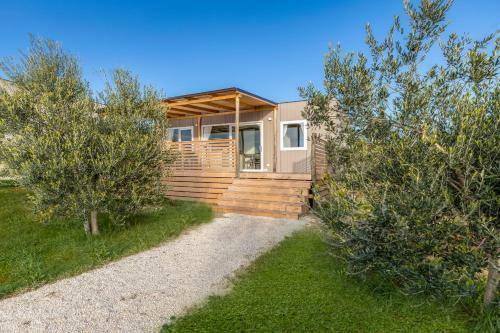 Papafigo Camping