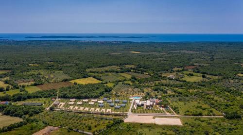 Papafigo Camping
