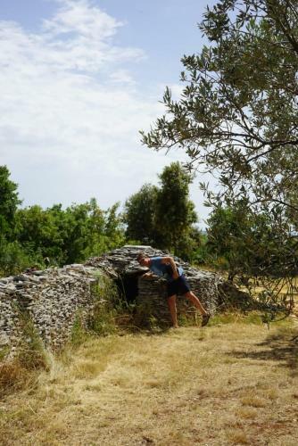 Papafigo Camping