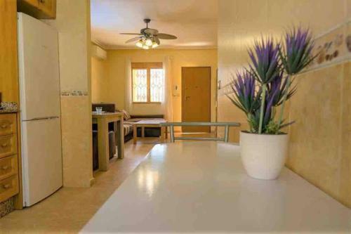 Villa Rose - Beautiful Detached Villa With Large Private Pool
