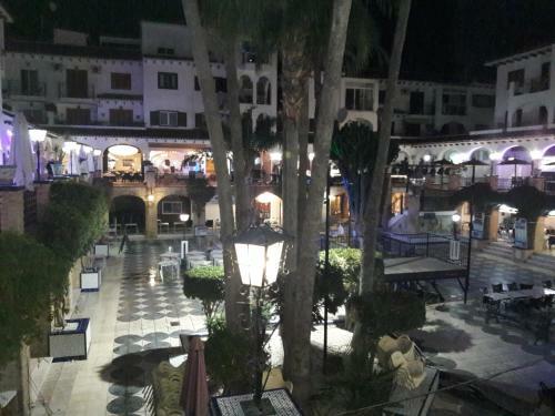 Apartamento Carolinas Aptmt Orihuela