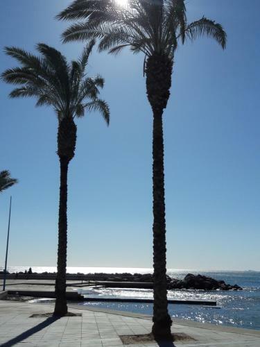 Apartamento Carolinas Aptmt Orihuela