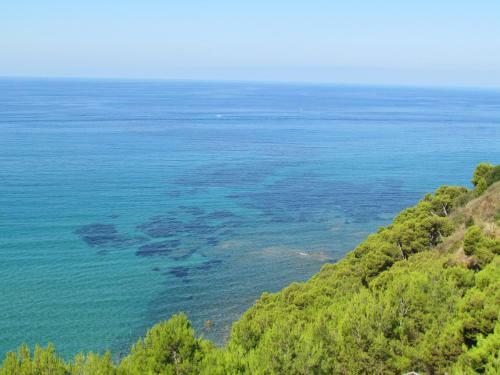 Apartamento Mezzatorre - Incantevole Appartamento