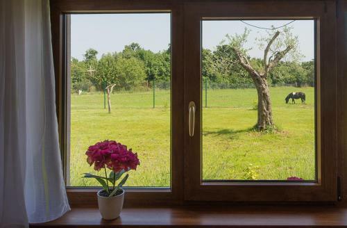Villa Betiga 2, With Pool And Jacuzzi
