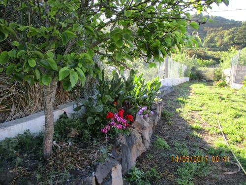 Agroturismo Casa Rural Cho Agustin