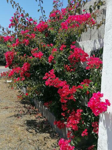 Agroturismo Casa Rural Cho Agustin
