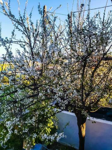 Apartamento West Garden