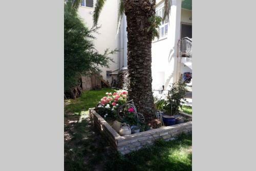 Apartamento Sweet Home In Aigio