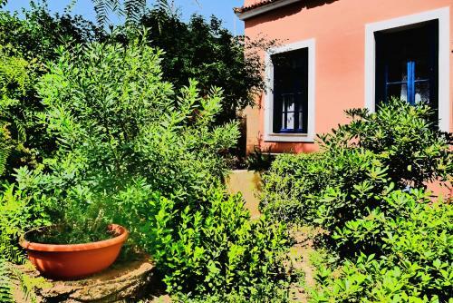 Villa Traditional House At Aegina Port