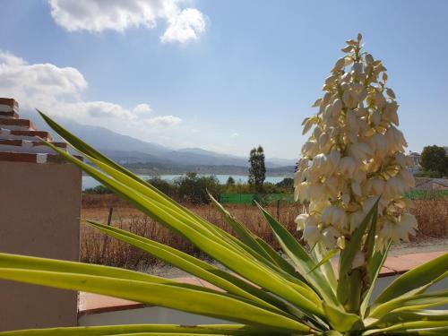 Bed & Breakfast Casa Alegr�a Andaluza