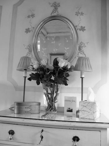 Bed & Breakfast Ednovean Farm