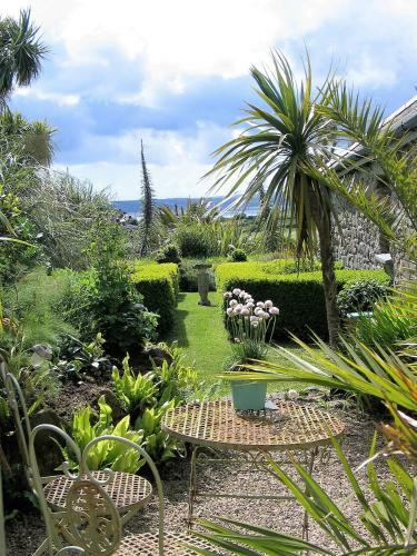 Bed & Breakfast Ednovean Farm