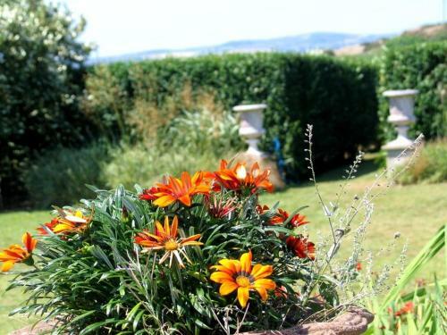 Bed & Breakfast Ednovean Farm