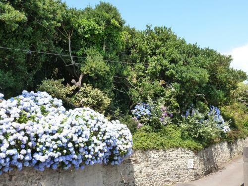 Bed & Breakfast Mount Royal - Penzance