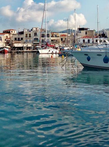 Lefteris Ageliki Beautiful Aegina