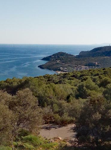 Lefteris Ageliki Beautiful Aegina