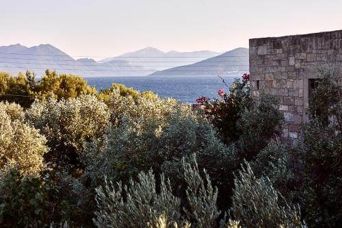 Hostal Nikolaou Residence