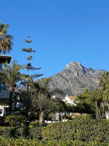 Apartamento Palmsea Marbella-estepona