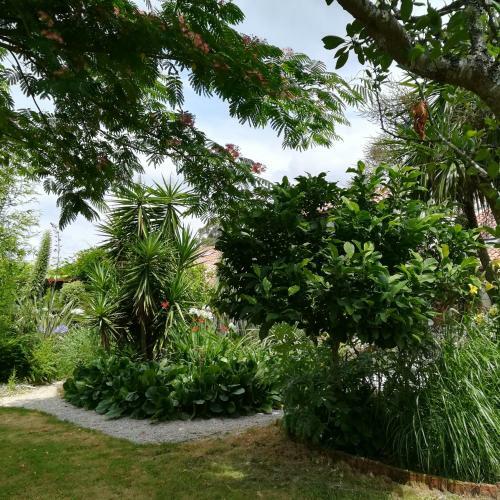 Agroturismo O Curralino