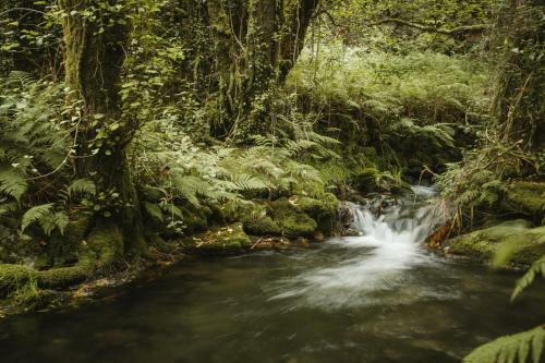 Agroturismo O Curralino