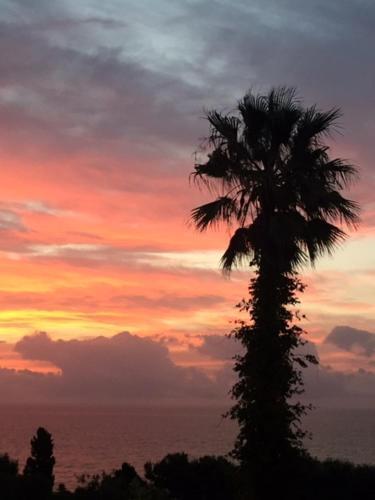 Bed & Breakfast Casa Bahia De Casares
