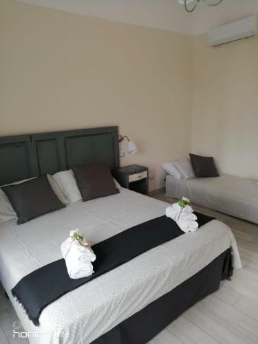 Apartamento Casa Musco
