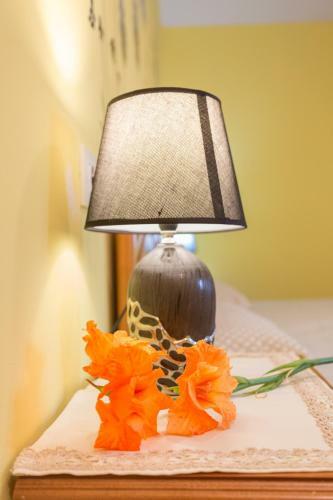 Agroturismo Casa Segade